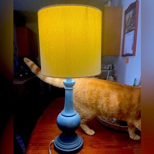 Working blue lamp. Asking $20